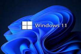 Windows 11 X64 21H2 10in1 OEM ESD pt-BR APRIL 2022 {Gen2}